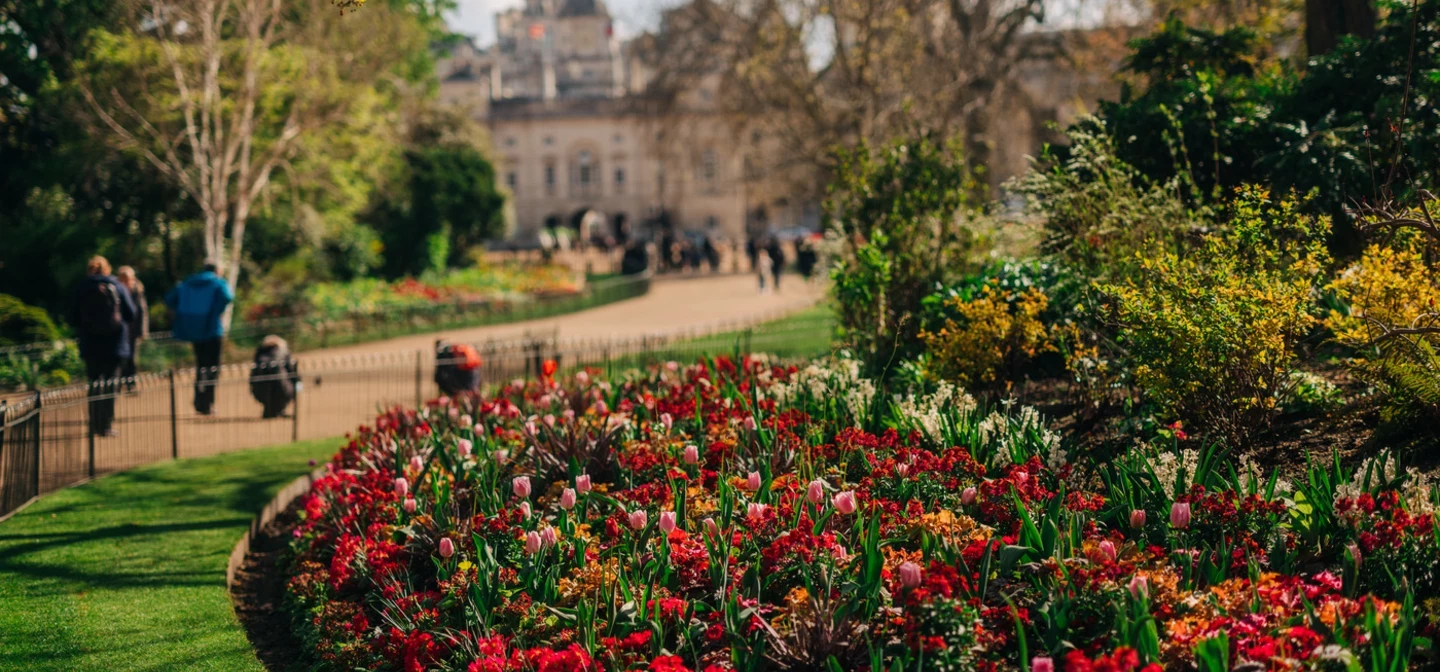 St James's Park Gardens Hero Spring