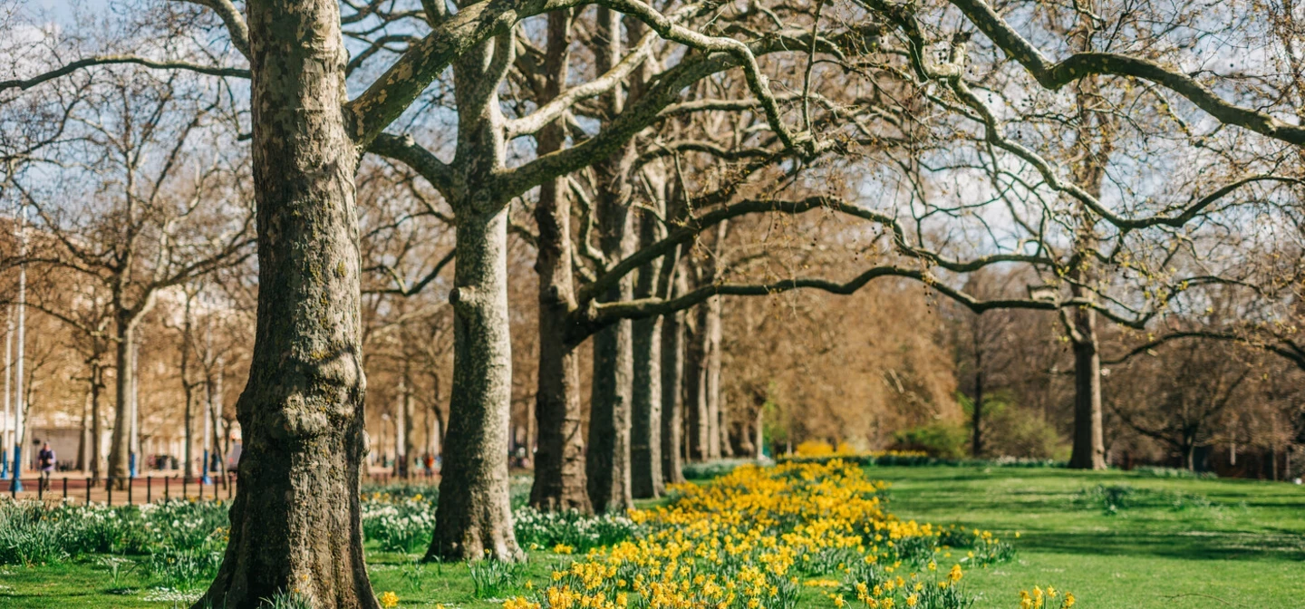 St James's Park FAQ Hero Spring