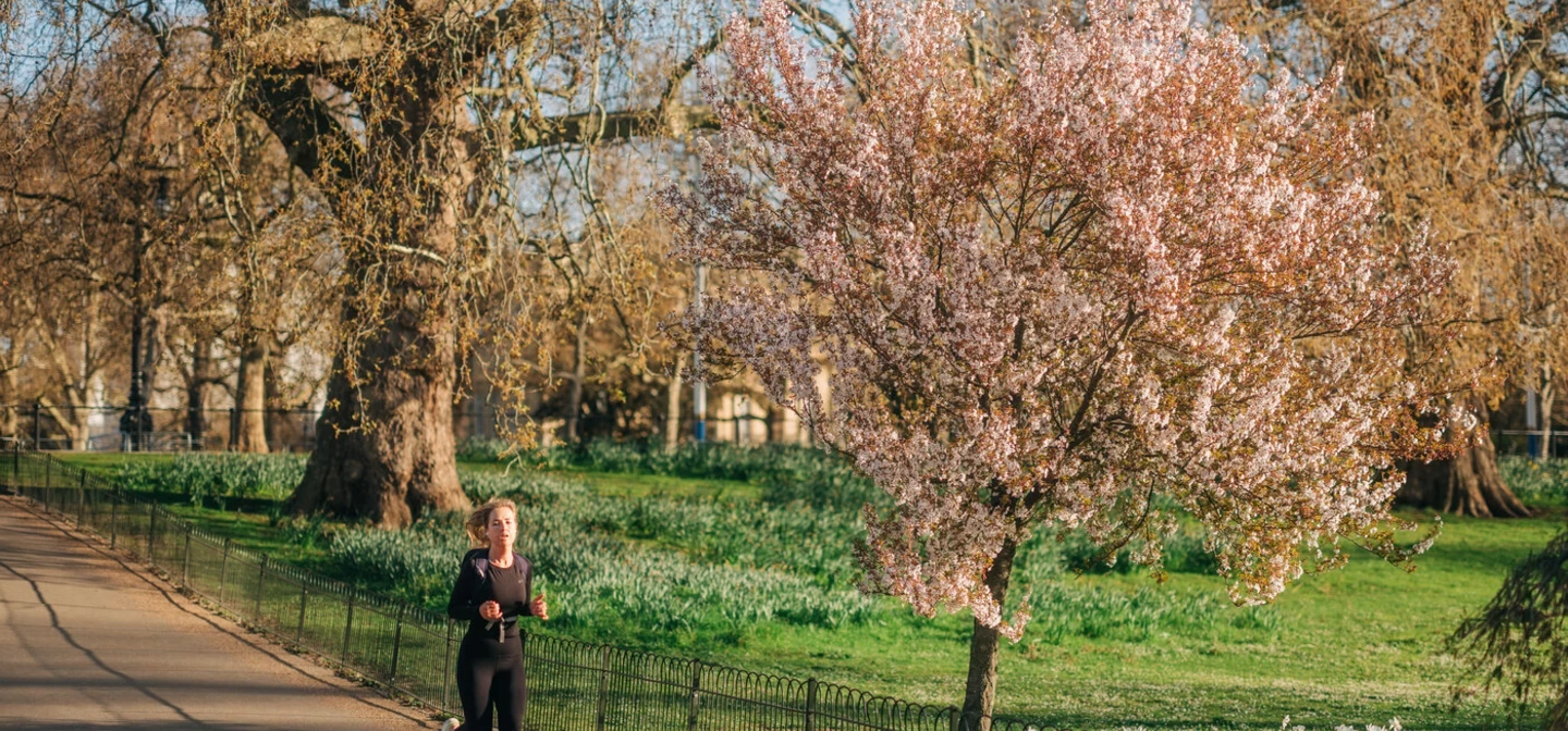 St James's Park leisure Hero Spring