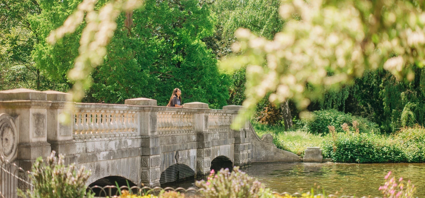 Landscape image of a bridge with a lake view