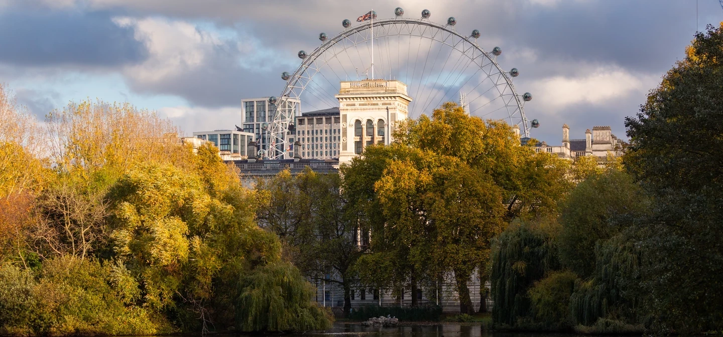 Image of a lake with greenery and the london eye in the background.