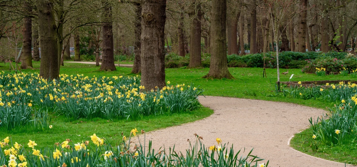 Bushy Park Spring Hero Maps