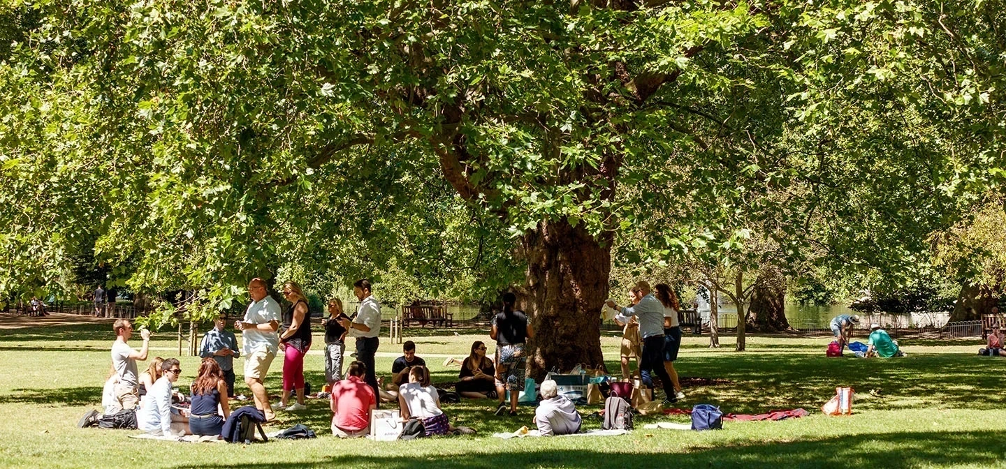 People enjoying a picnic