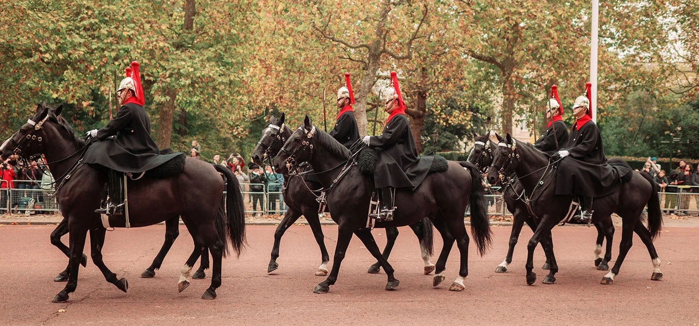 Mounted soldiers on horseback