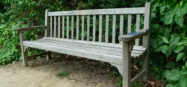 'Reasond to be cheerful' Ian Dury bench