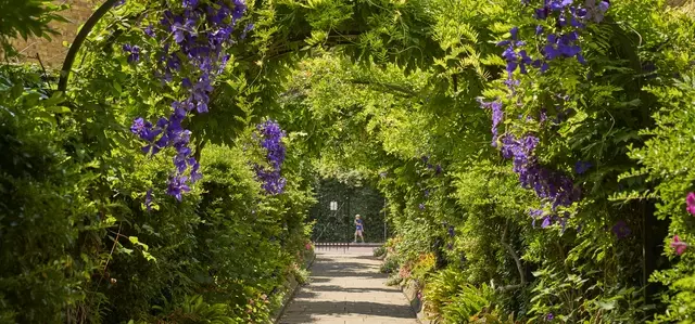 St John's Lodge gardens
