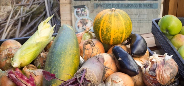 The Queen's Orchard allotment