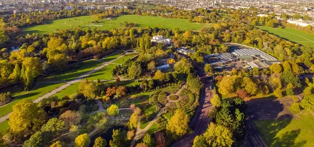 Commercial filming and photography | The Royal Parks