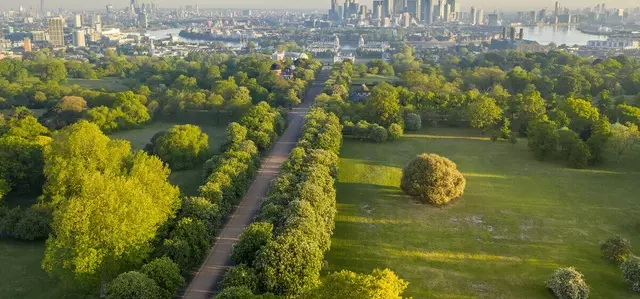 Drone view of Blackheath Avenue Greenwich Park