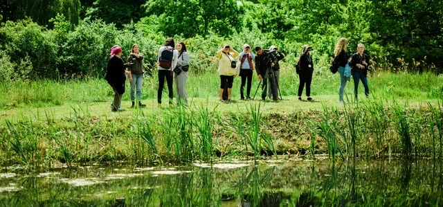 Bird watchers in The Regent's Park