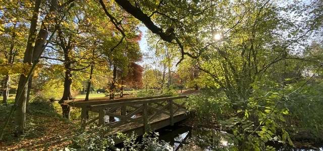 Waterhouse Woodland Gardens in autumn