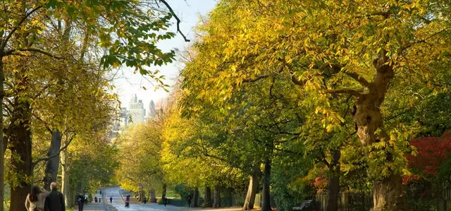 Greenwich Park | The Royal Parks