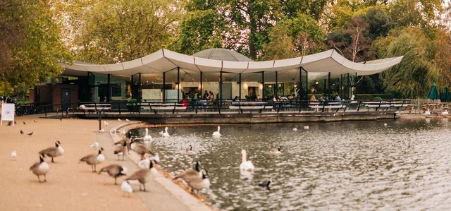 Serpentine Bar & Kitchen