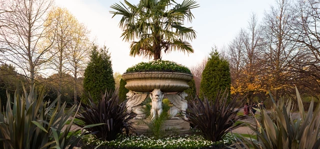 Griffin Tazza in the Avenue Gardens