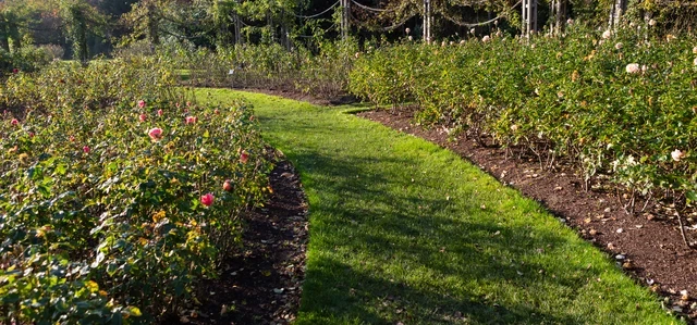 Queen Mary's Gardens