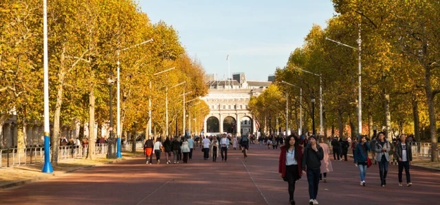 The Mall