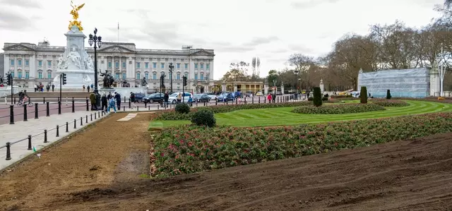 Buckingham Palace flower beds