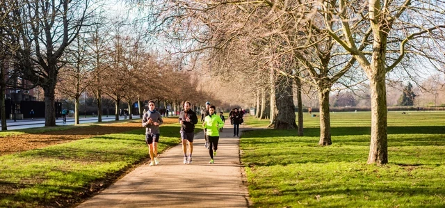 Runners in Hyde Park