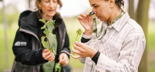 Two women looking closely at weeds