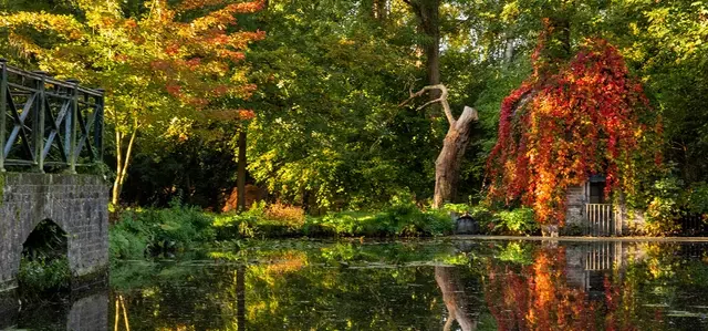 Autumn coloured trees reflecting in a river