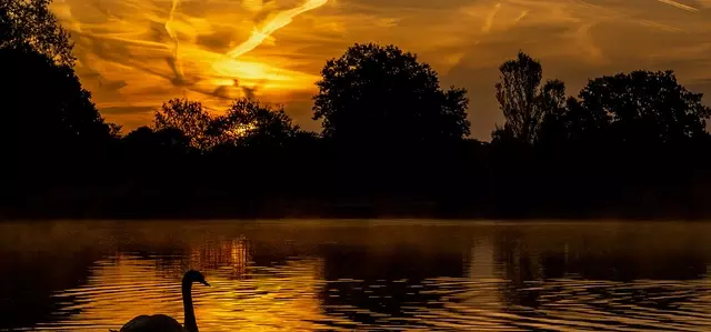 Golden sunset over the water