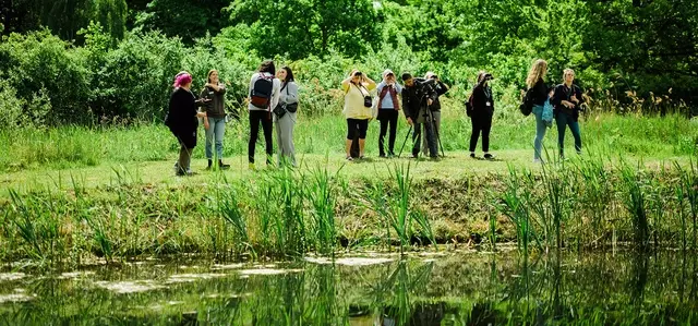 Birdwatchers by the side of a pond