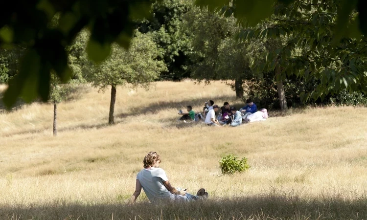 Flourishing grassland habitats