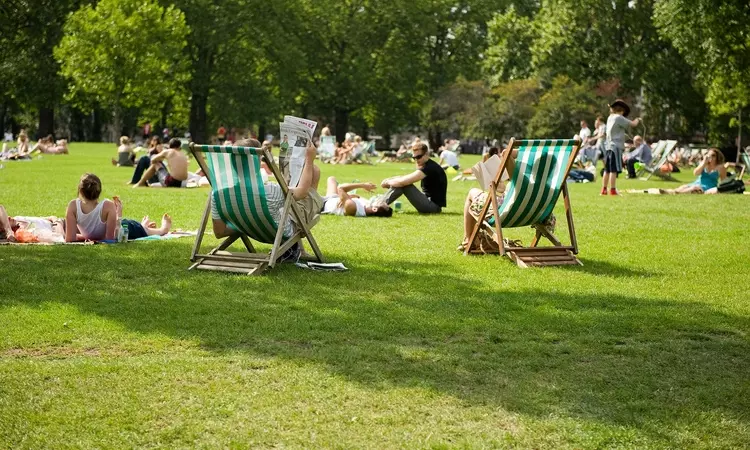 Deck chairs in the park