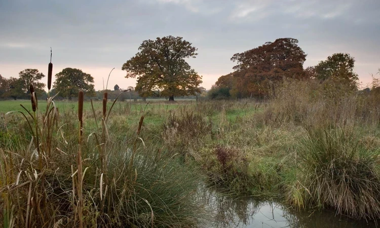 Brewhouse meadows