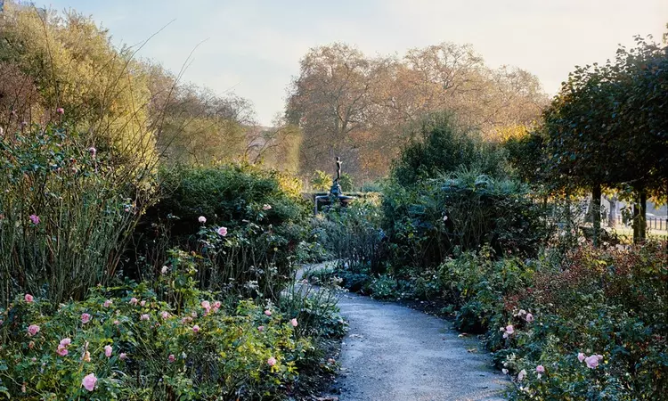 Pathway in the Hyde Park Rose Garden