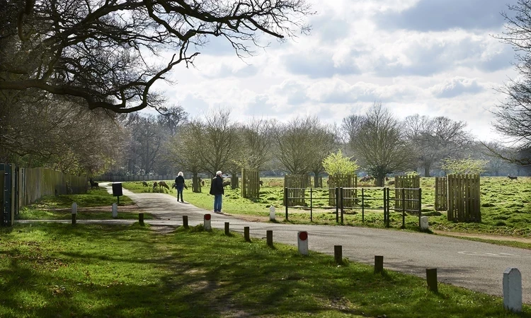 Chestnut Avenue