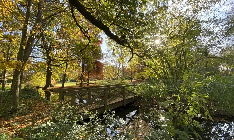 Bushy Park | The Royal Parks