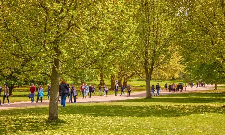People enjoying an autumn day in Green Park
