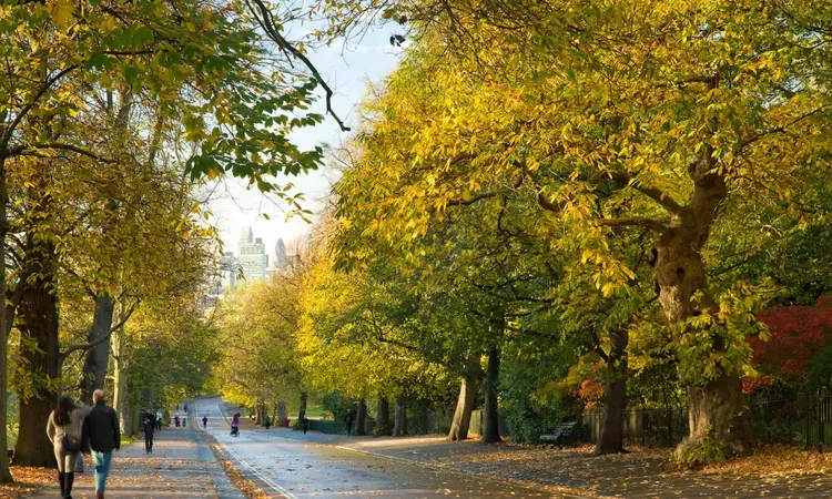 Greenwich Park in autumn