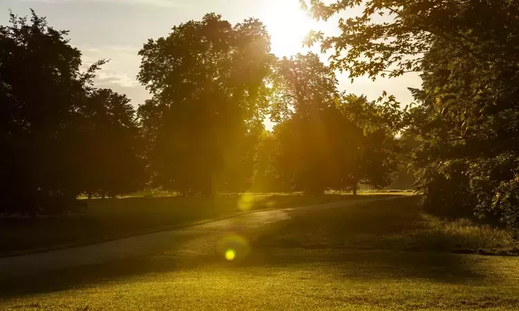 Early morning in Kensington Gardens