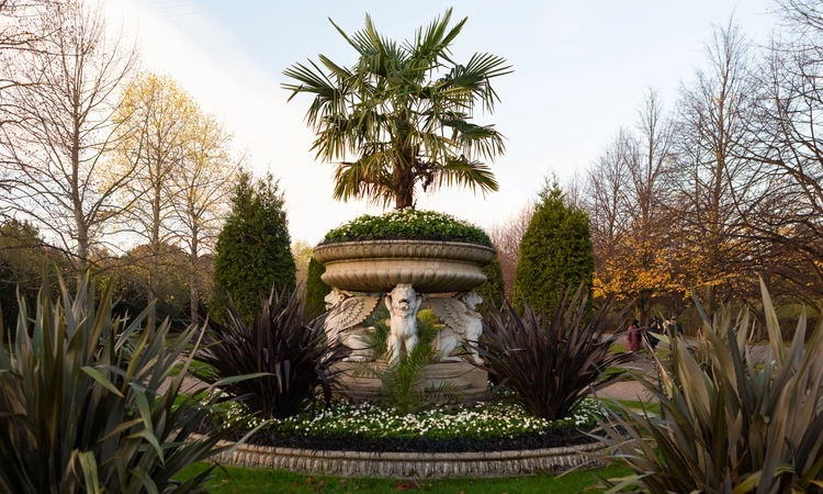 Griffin Tazza in the Avenue Gardens