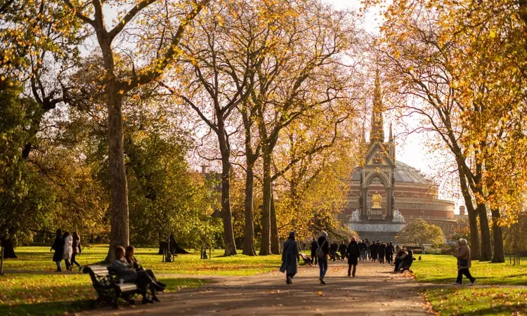 View of the Albert Memorial through the trees in autumn