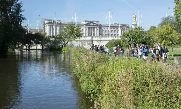 View of Buckingham Palace from St. James's Park