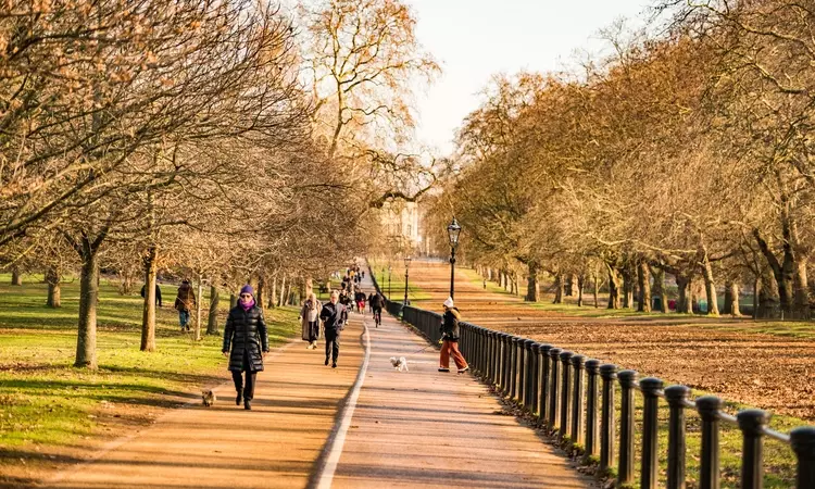 Walking & cycling path by the Rotten Row in Hyde Park