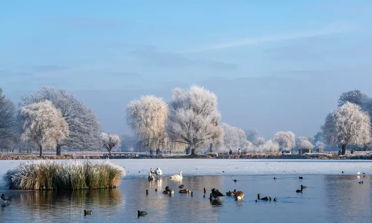 Longford River in winter