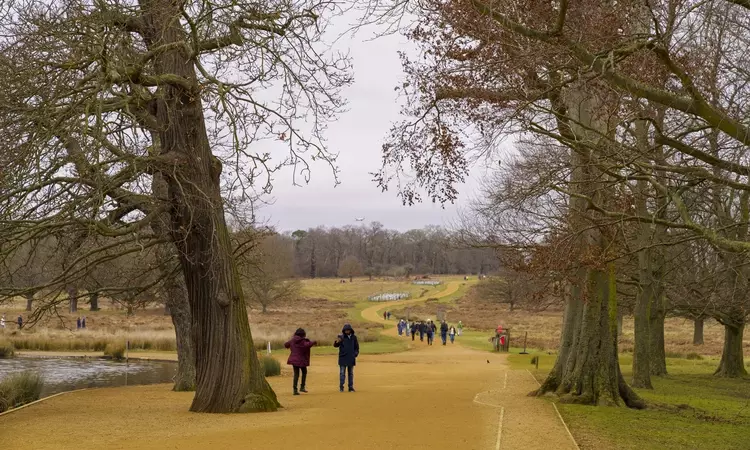 Visitors enjoying a walk in Richmond Park in winter