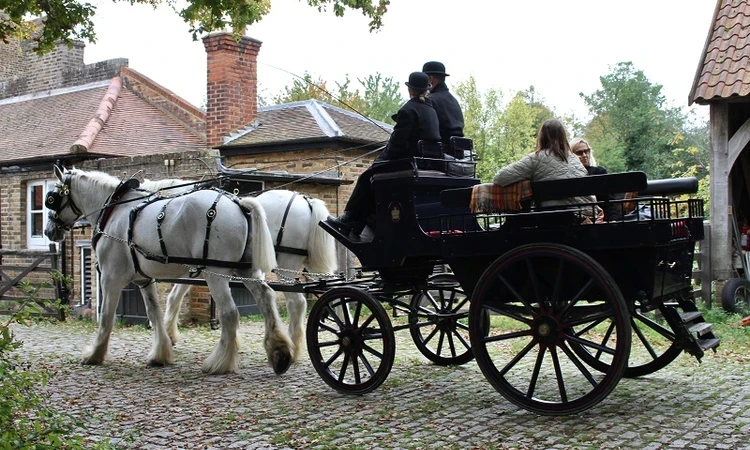 Shire horse rides in Richmond Park 2