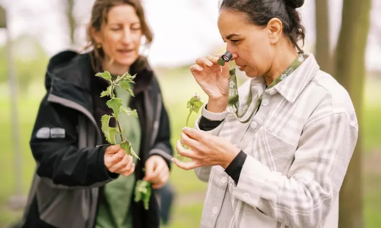 Two women looking closely at weeds
