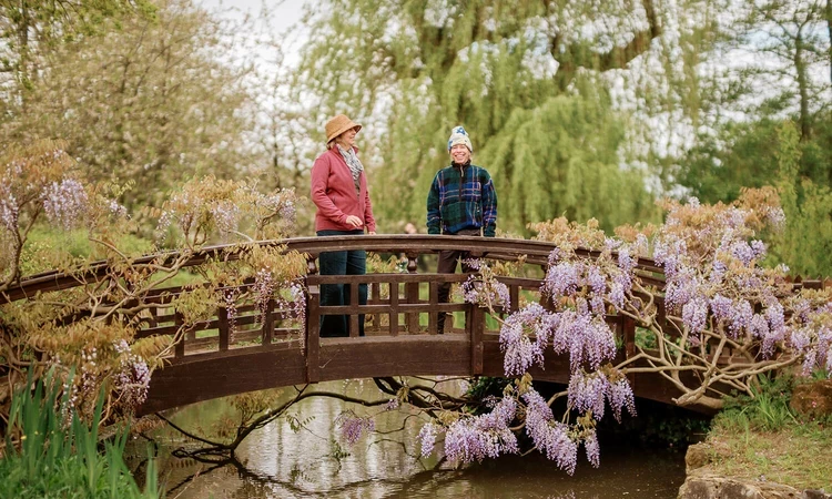 Two people on a picturesque wooden bridge in The Regent's Park