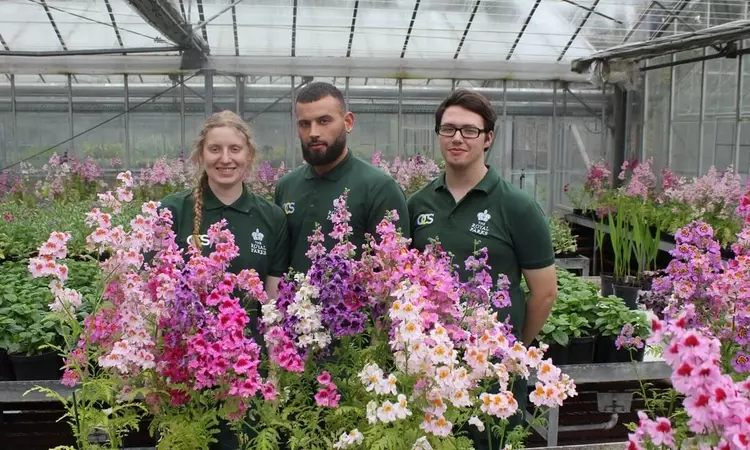 Royal Parks apprentices Verity, Brent and Bradley