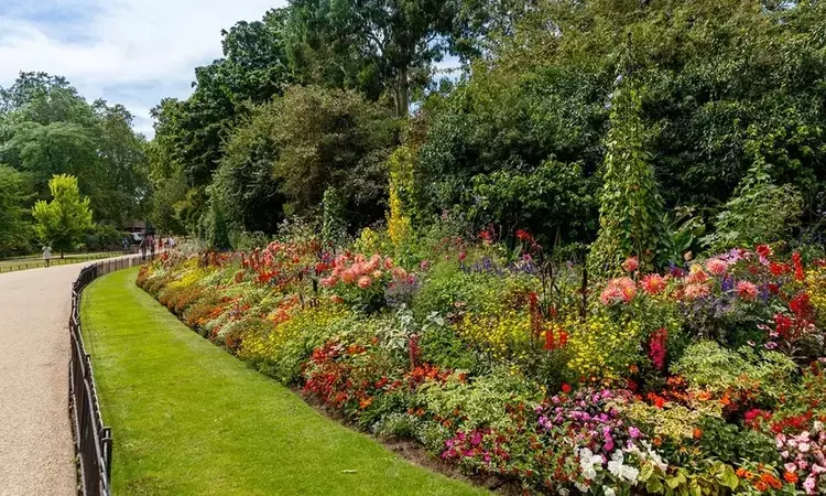 Summer flower beds in St. James's Park