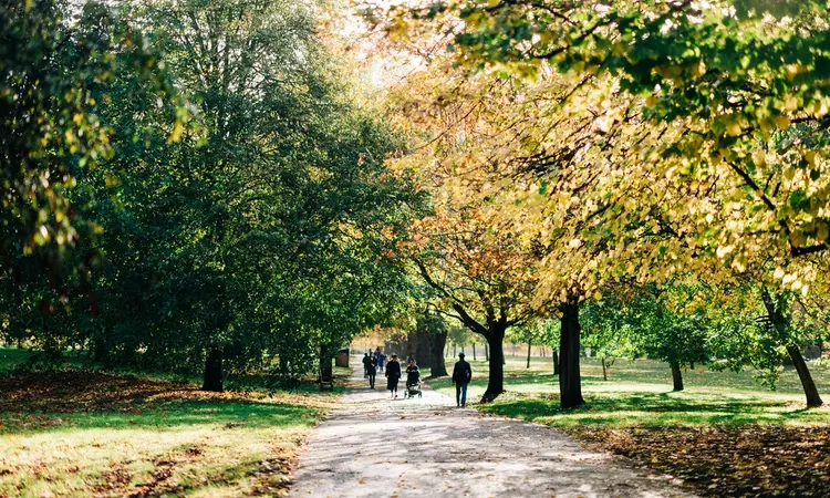 People walking in Hyde Park in autumn