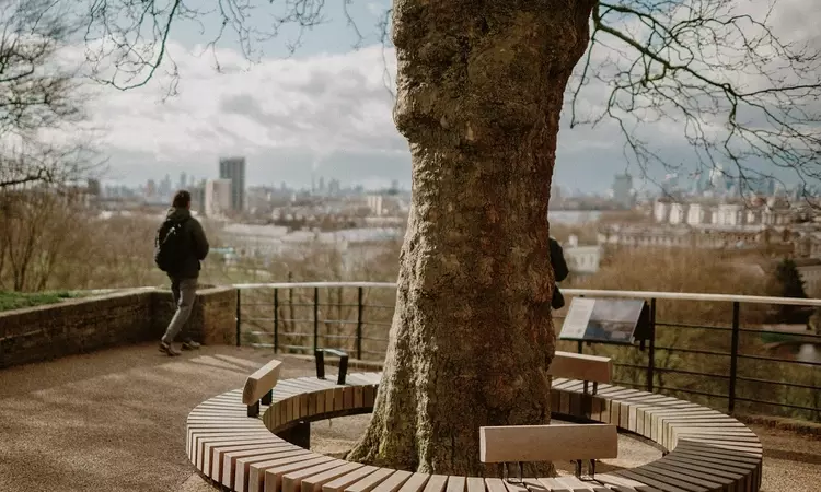 A view of the new wooden seating at One Tree Hill