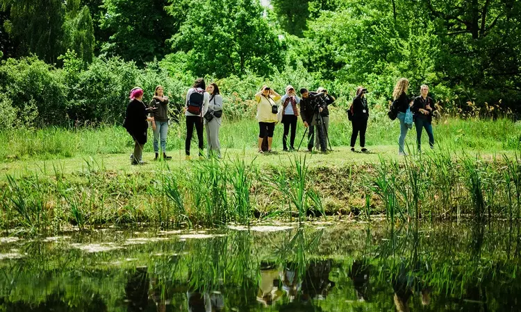 Birdwatchers by the side of a pond