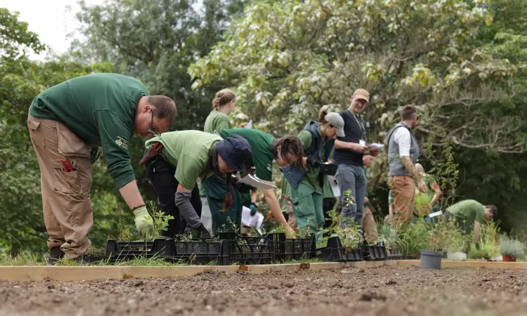 A team of ten Royal Parks apprentices together with skilled gardeners, plant 300 plants in a trial bed close to the proposed new garden to commemorate Queen Elizabeth II in The Regent's Park